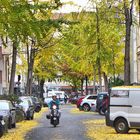 Herbst in der Kölner City