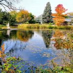 Herbst in der Kölner Flora