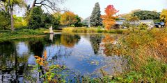 Herbst in der Kölner Flora