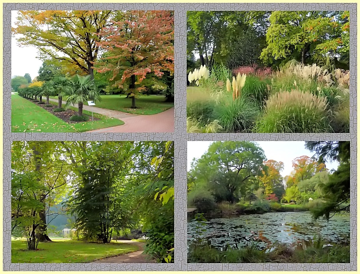 Herbst in der Kölner Flora