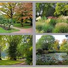 Herbst in der Kölner Flora