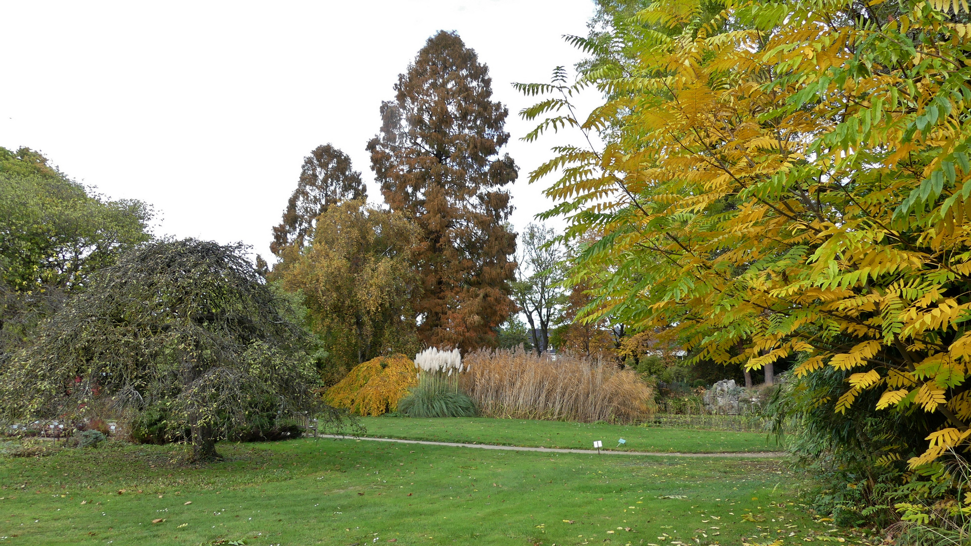 Herbst in der Kölner Flora