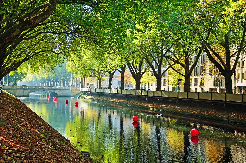 Herbst in der Königsallee