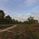 Herbst in der Küstenheide