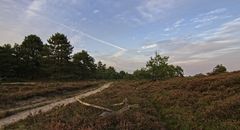 Herbst in der Küstenheide