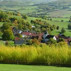 Herbst in der Kuppenrhön (1)