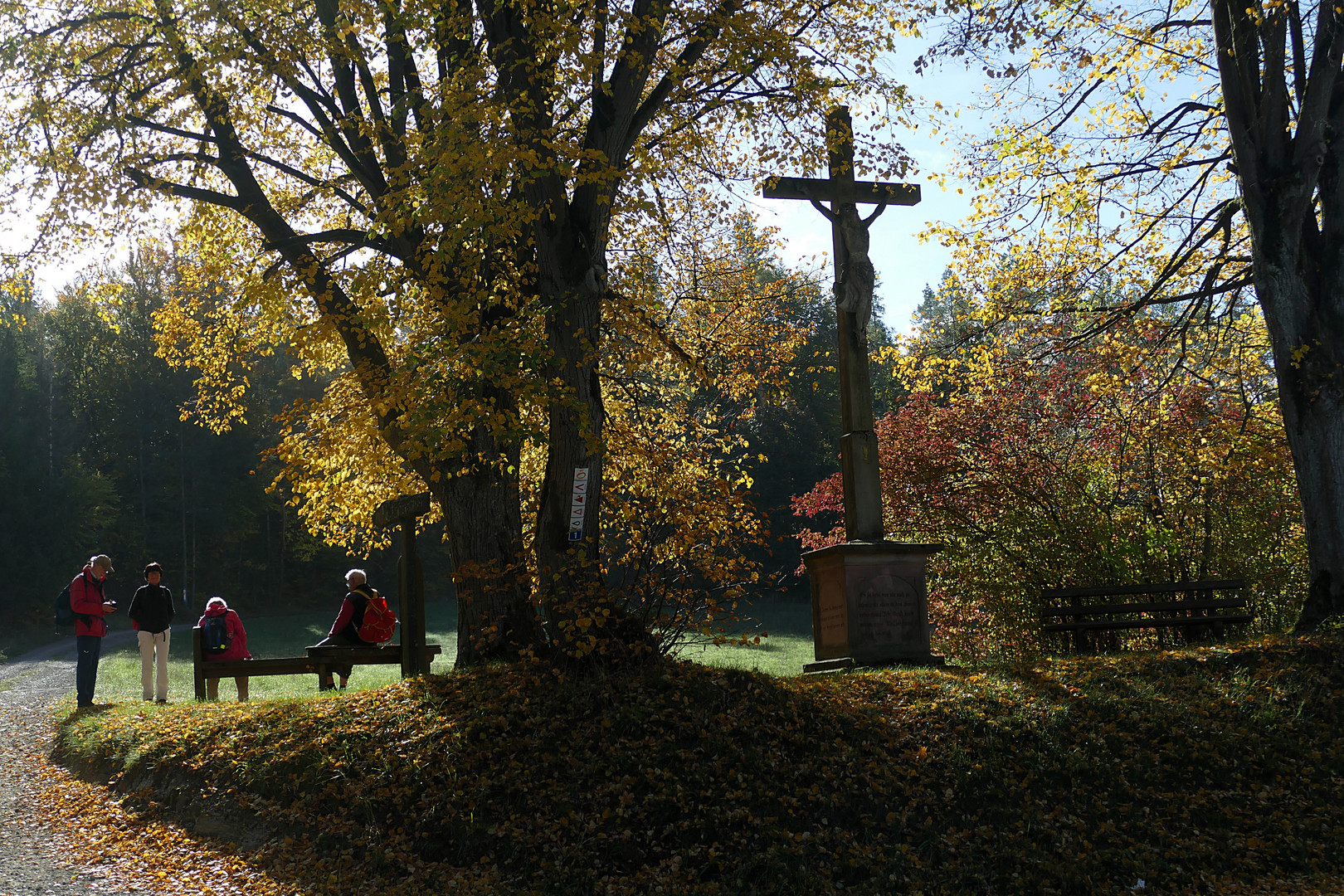 Herbst in der Kuppenrhön (2)