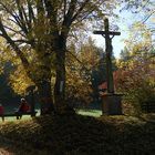 Herbst in der Kuppenrhön (2)