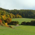 Herbst in der Kuppenrhön (3)