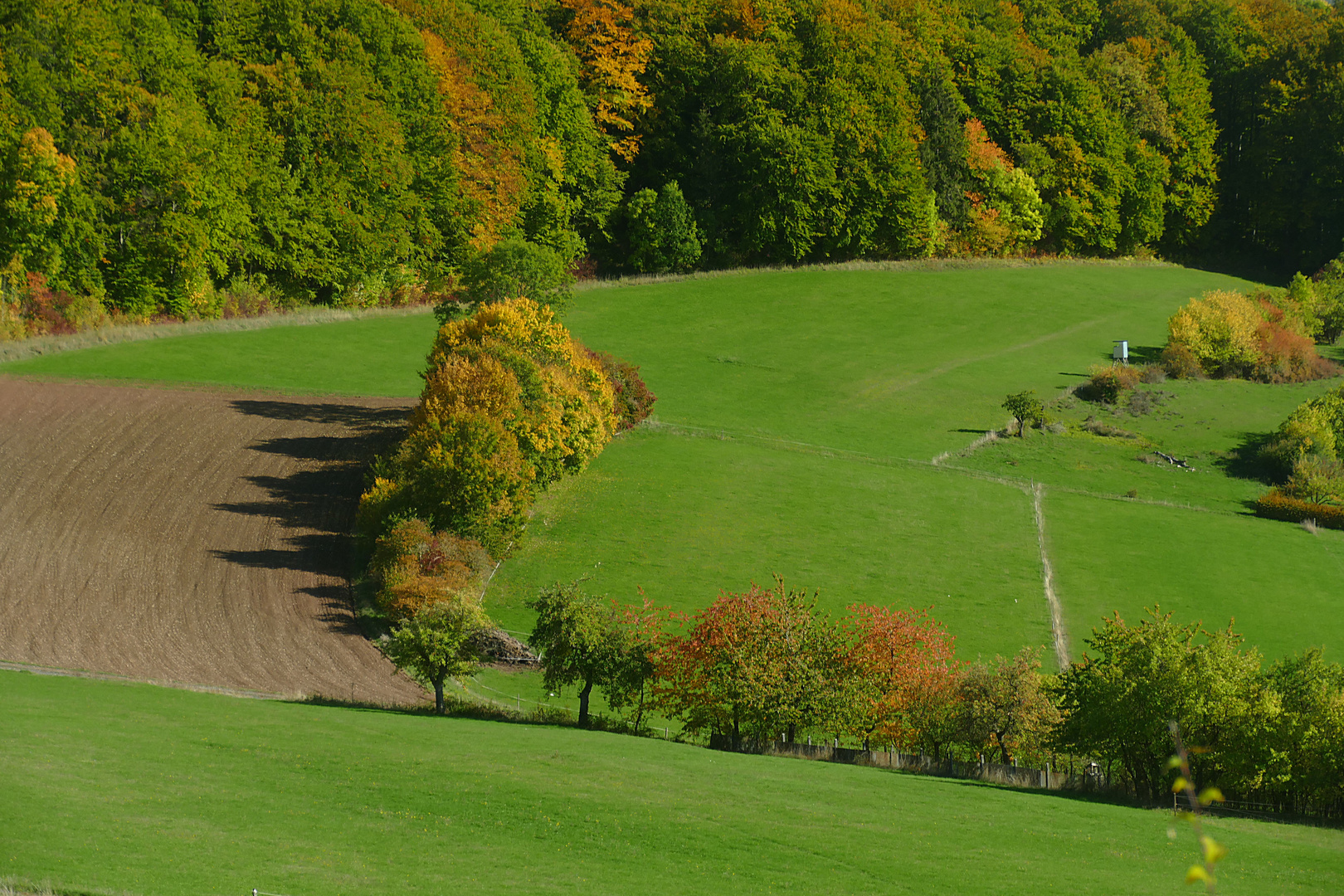 Herbst in der Kuppenrhön (4)