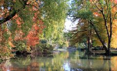 Herbst in der Langen Erle in Basel