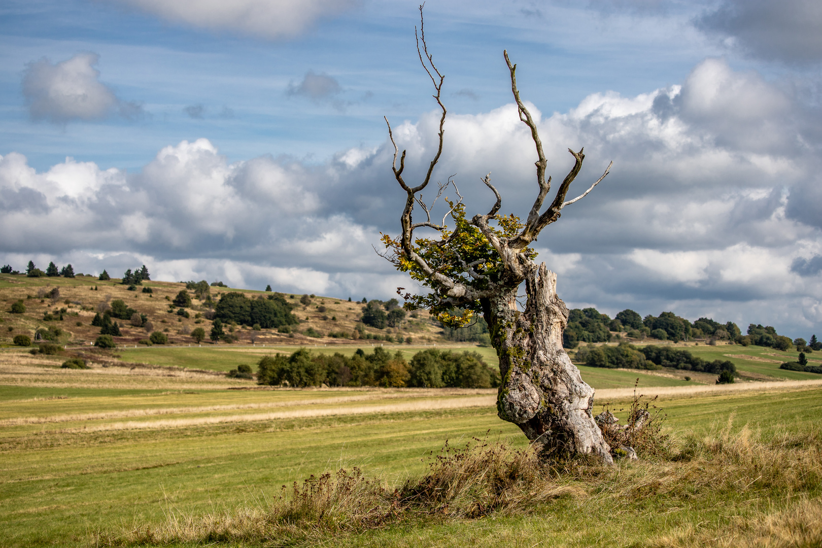 Herbst in der Langen Rhön-1