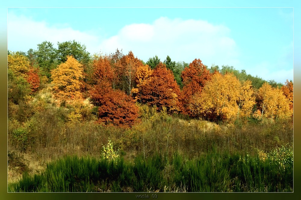 Herbst in der Lausitz