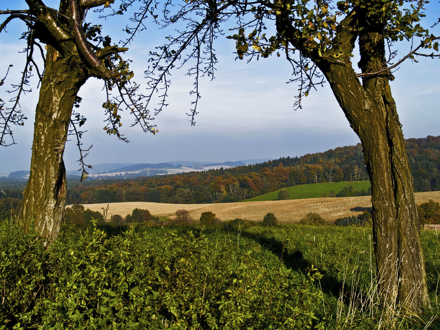 herbst in der lausitz