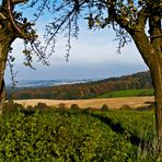 herbst in der lausitz