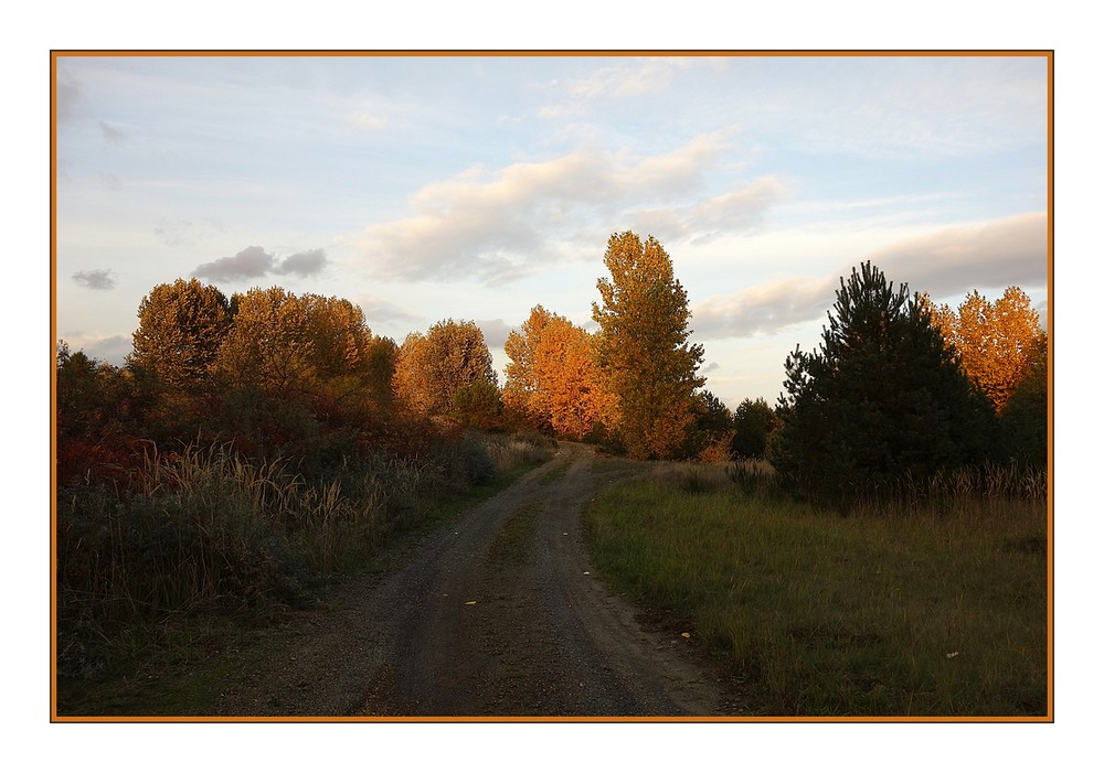 herbst in der lausitz