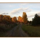 herbst in der lausitz