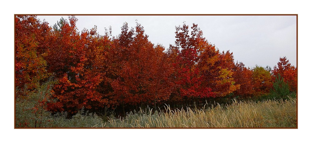 Herbst in der Lausitz