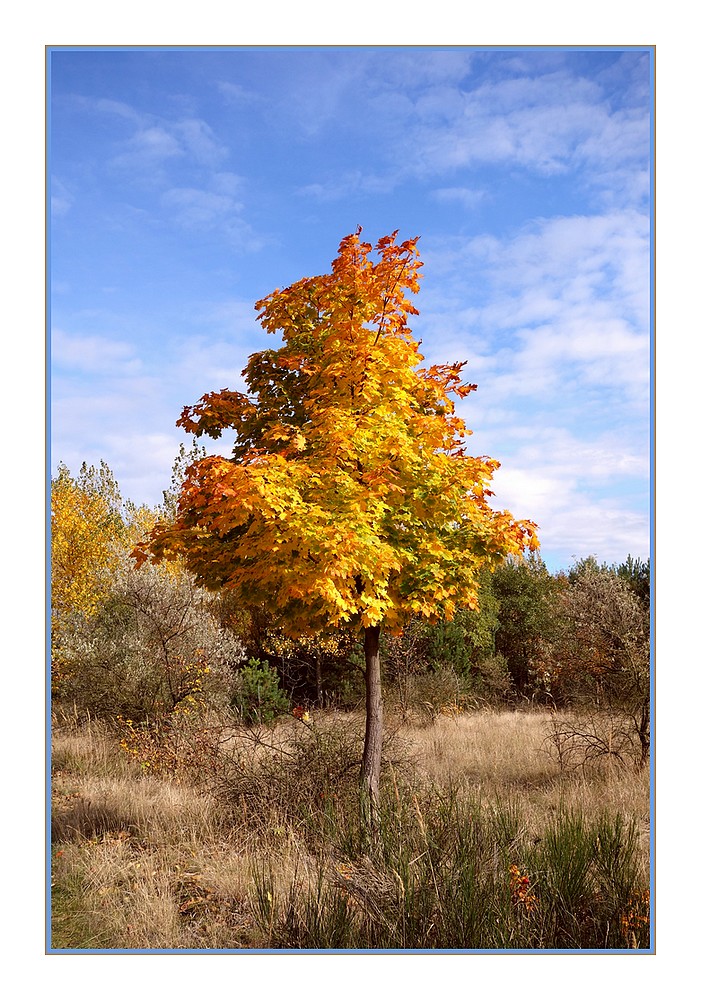 Herbst in der lausitz