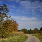 Herbst in der Leinemasch