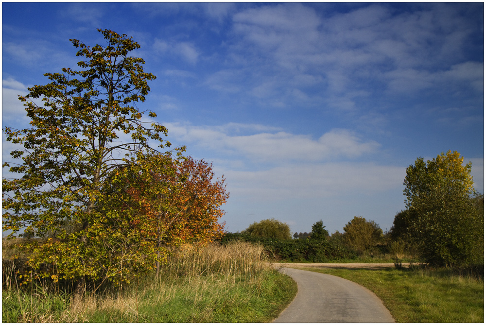 Herbst in der Leinemasch