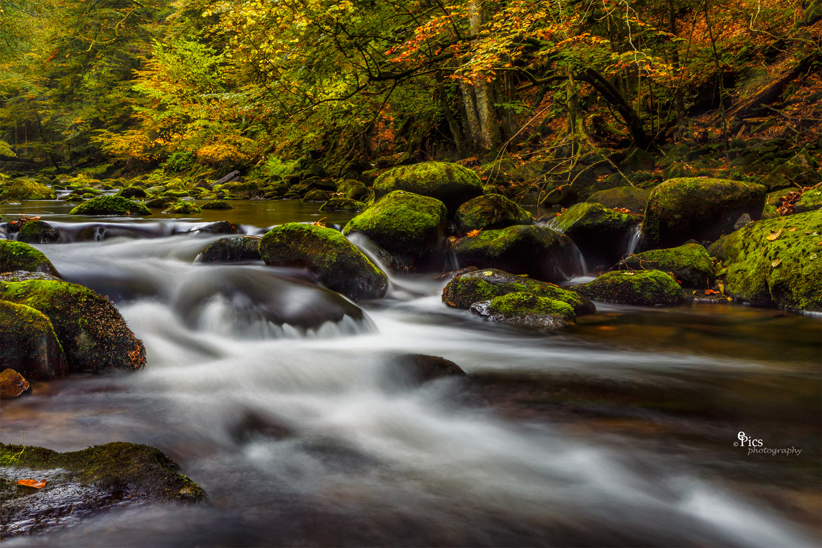 Herbst in der Leitn - Bach369