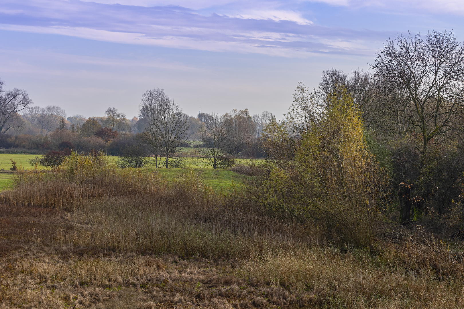 Herbst in der Lippeaue_D4A7333