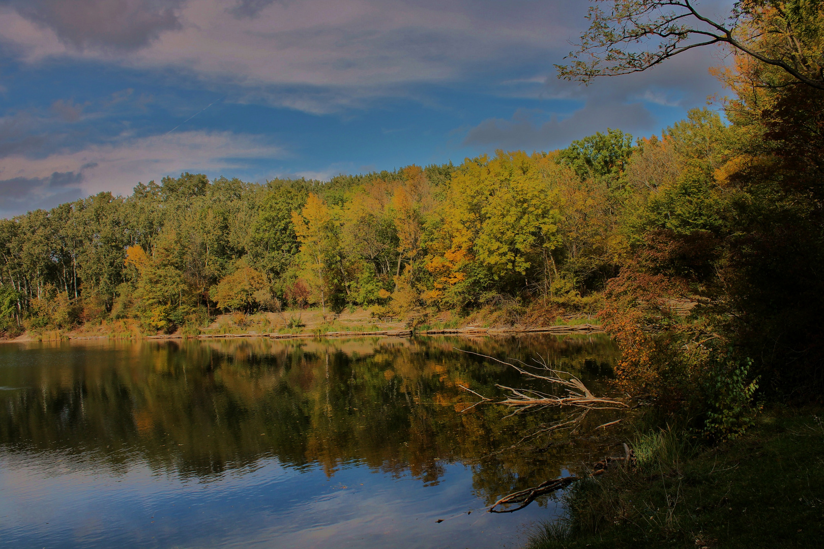 Herbst in der Lobau