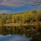 Herbst in der Lobau