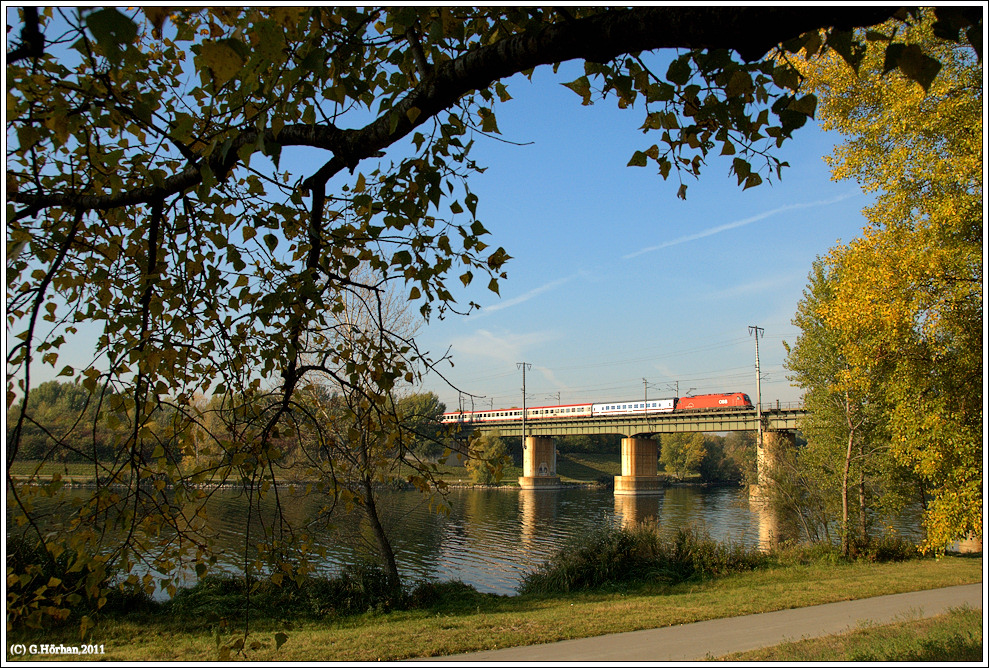 Herbst in der Lobau