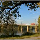 Herbst in der Lobau