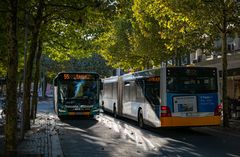 Herbst in der Ludwigstrasse | Mainz