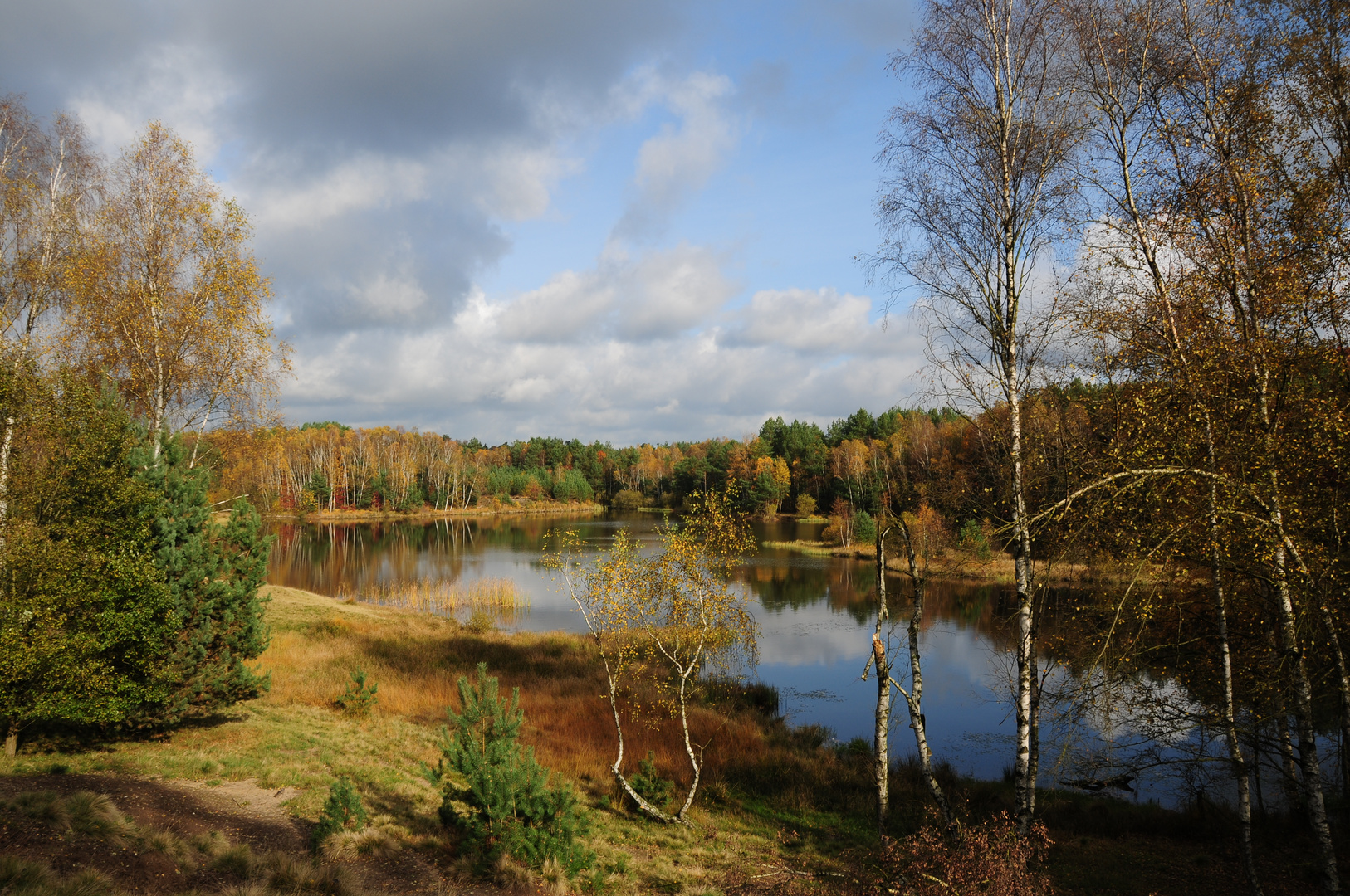 Herbst in der Lüneburger Heide