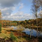 Herbst in der Lüneburger Heide