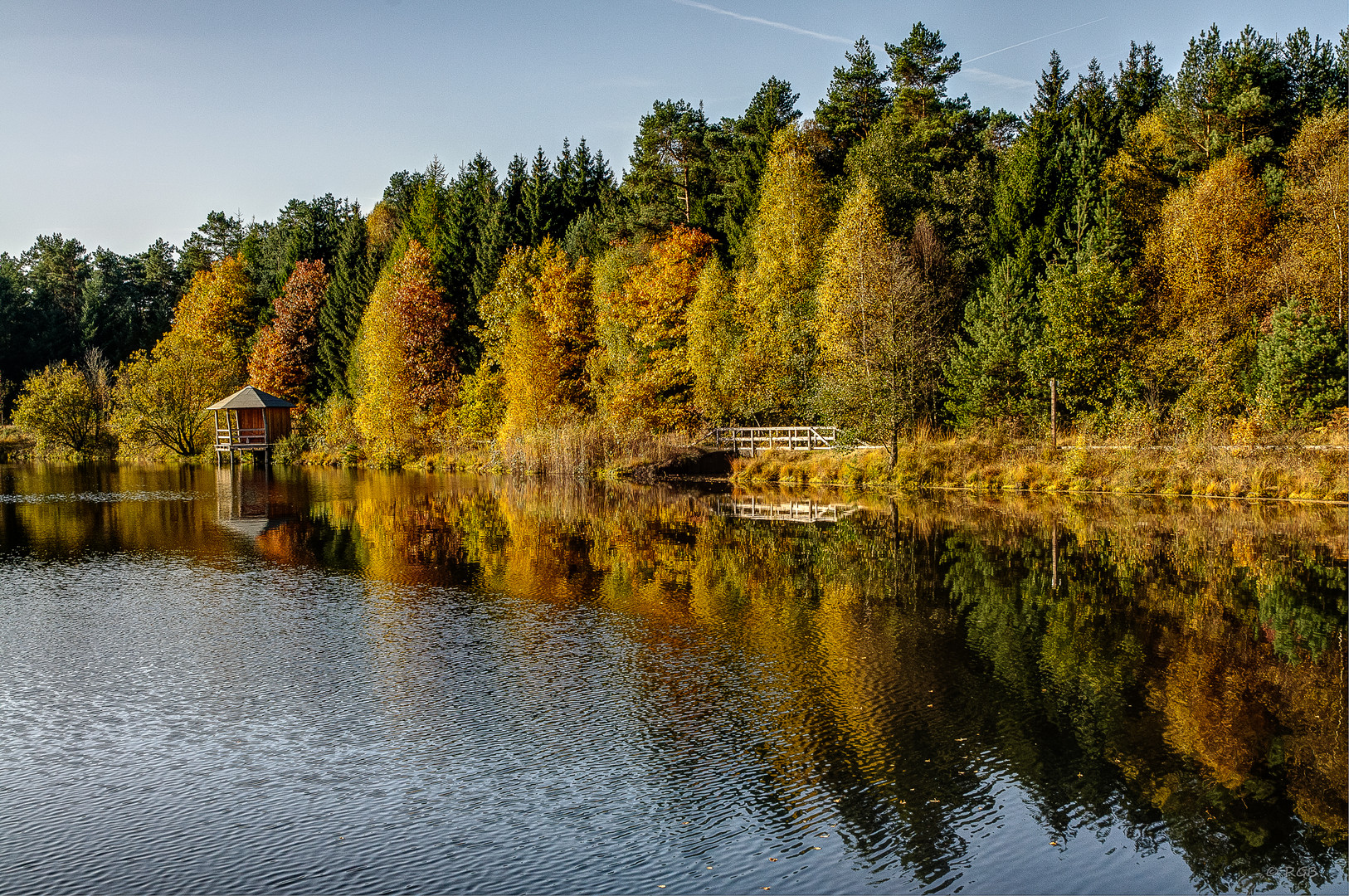 Herbst in der Lüneburger Heide