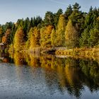 Herbst in der Lüneburger Heide