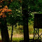 Herbst in der Märkischen Schweiz