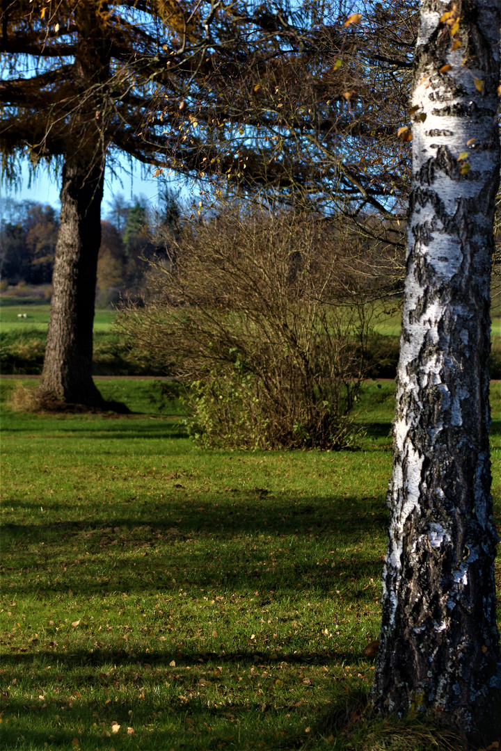 Herbst in der Natur...