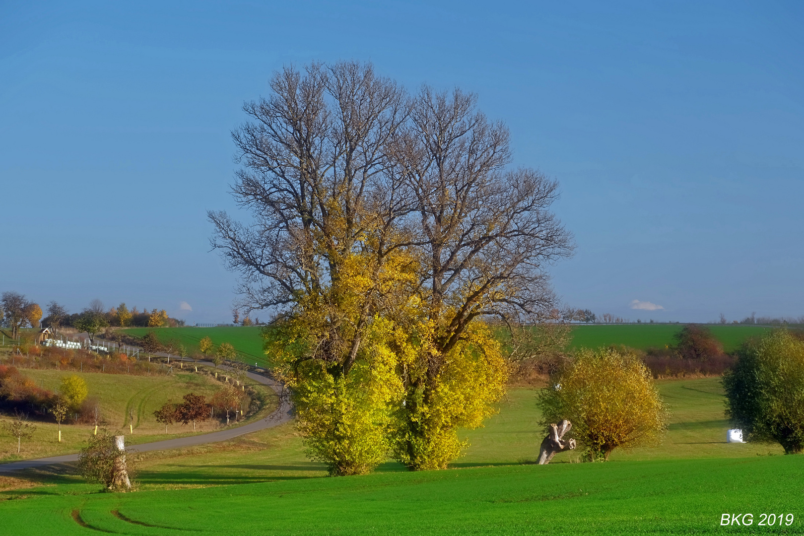 Herbst in der Natur 