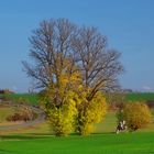 Herbst in der Natur 