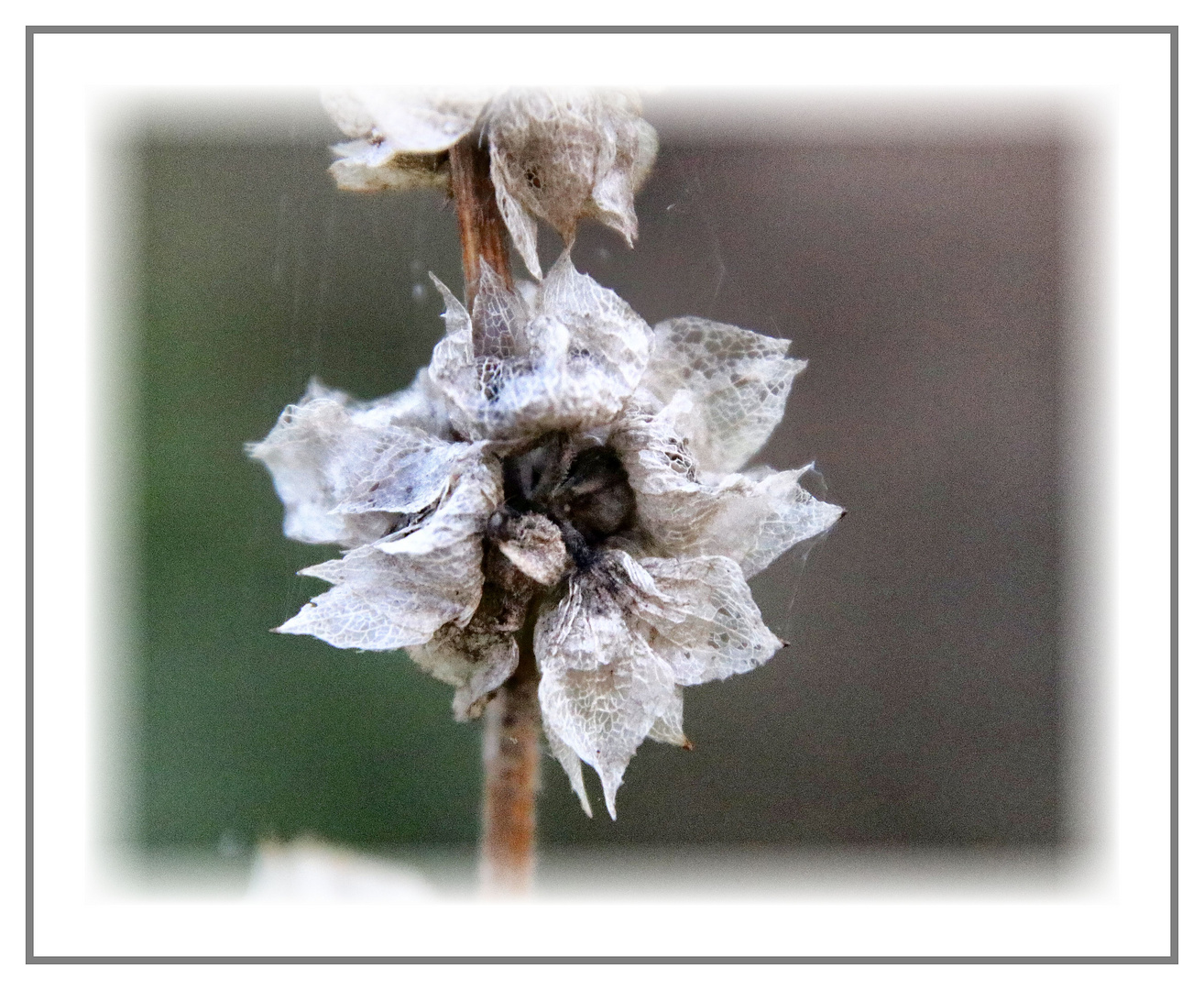 Herbst in der Natur....