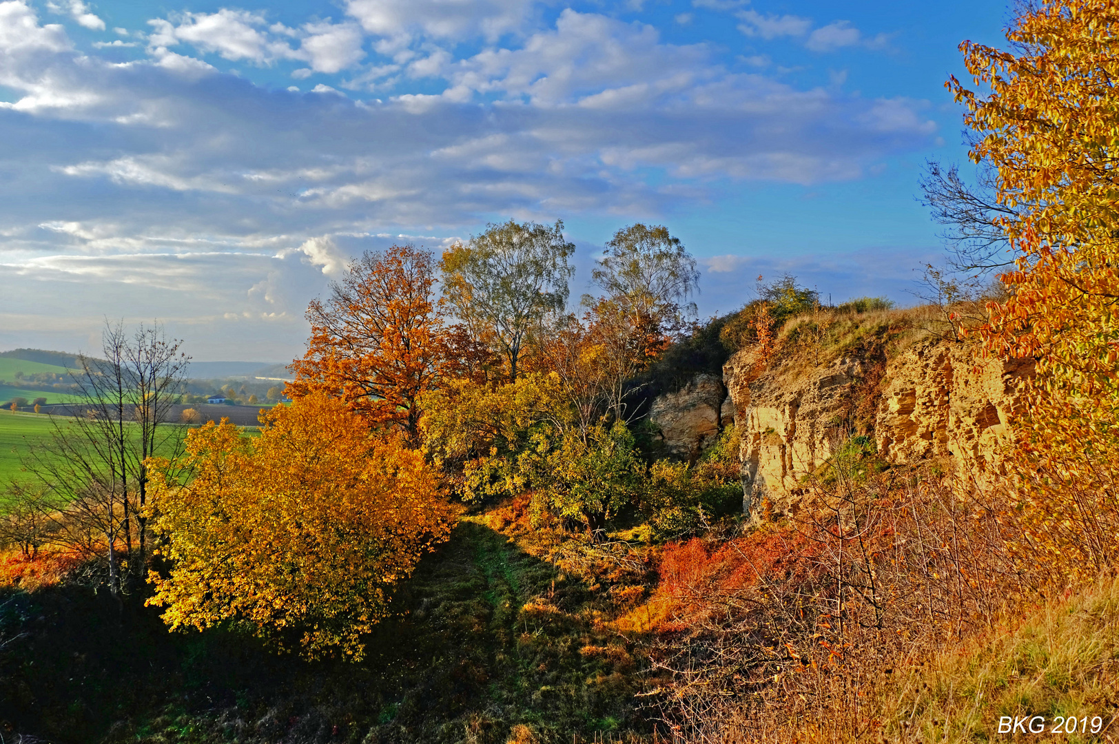 Herbst in der Natur II