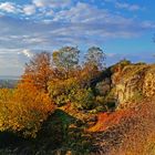 Herbst in der Natur II