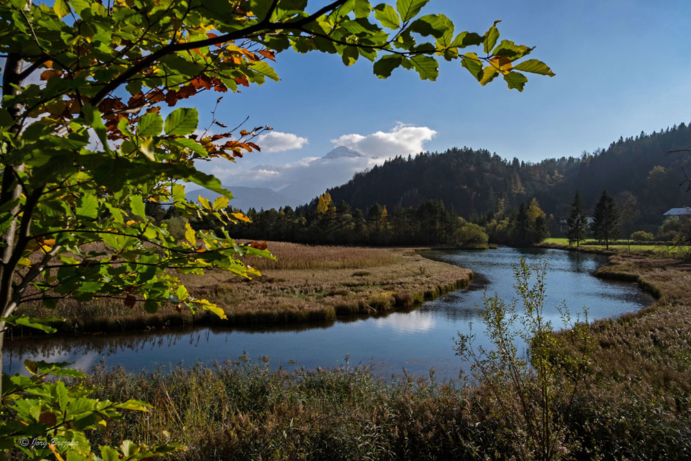 Herbst in der Naturparkregion Reutte