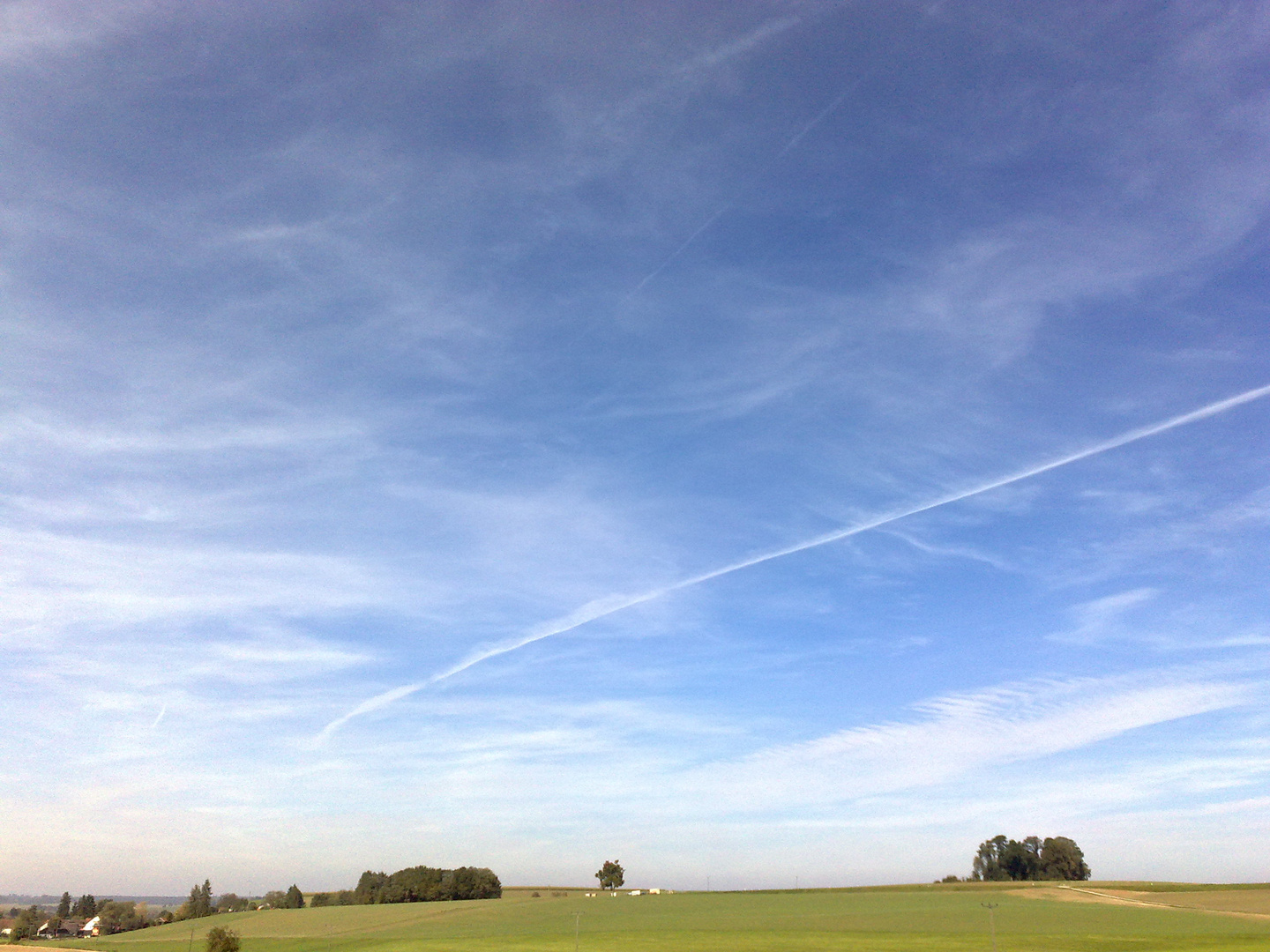 Herbst in der neuen Heimat