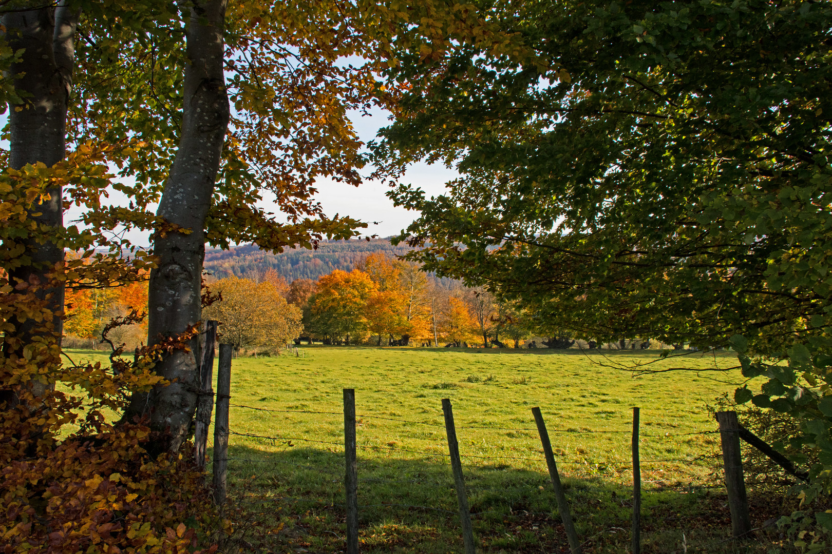 Herbst in der Nordeifel