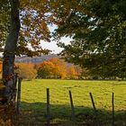 Herbst in der Nordeifel