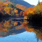 Herbst in der Nordeifel