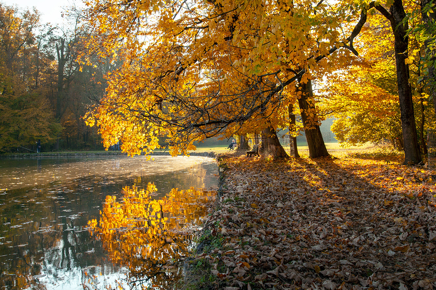 Herbst in der Nymphenburg