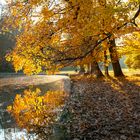 Herbst in der Nymphenburg